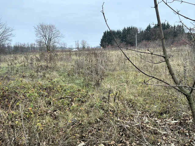 Eladó telek Gödöllő, Fenyves 1170 nm