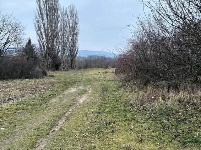 Eladó telek Gödöllő, Fenyves 1170 nm