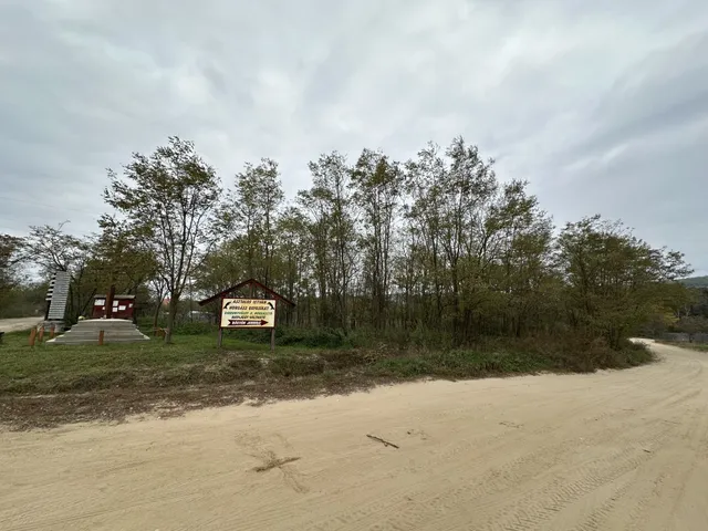 Eladó telek Domony 3905 nm