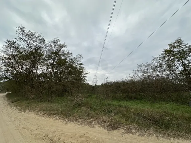 Eladó telek Domony 3905 nm