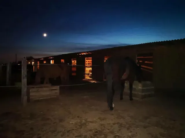 Eladó mezőgazdasági ingatlan Fót 22065 nm