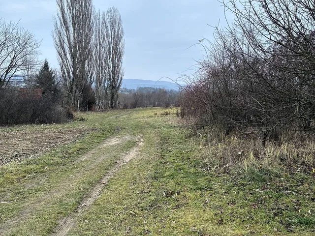 Eladó telek Gödöllő 1170 nm