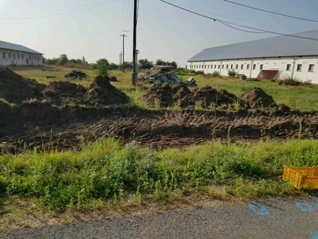 Eladó mezőgazdasági ingatlan Mátyásdomb 120000 nm