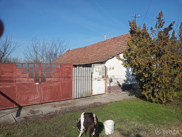 Eladó ház Pitvaros 60 nm