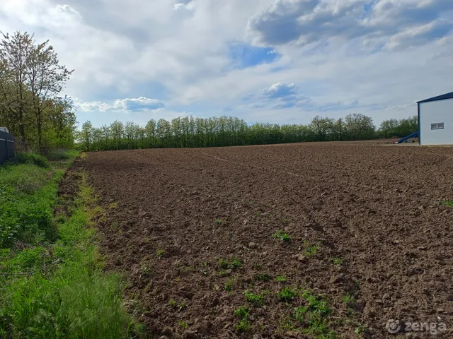 Eladó telek Újfehértó 10041 nm