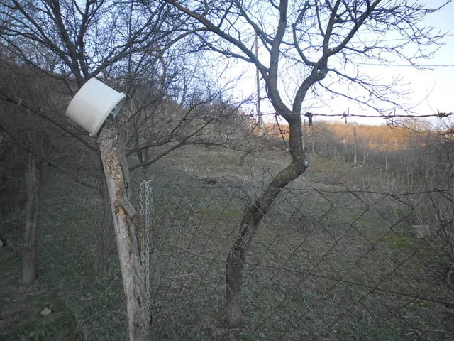 Eladó ház Szekszárd, Szőlőhegy 71 nm