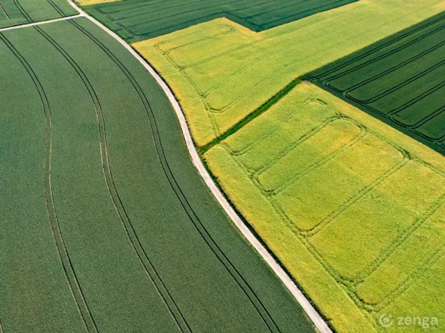 Eladó mezőgazdasági ingatlan Monostorpályi, Külterület 1 10043 nm