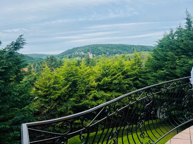 Eladó ház Budapest II. kerület, Széphalom, Kisasszony utca 350 nm