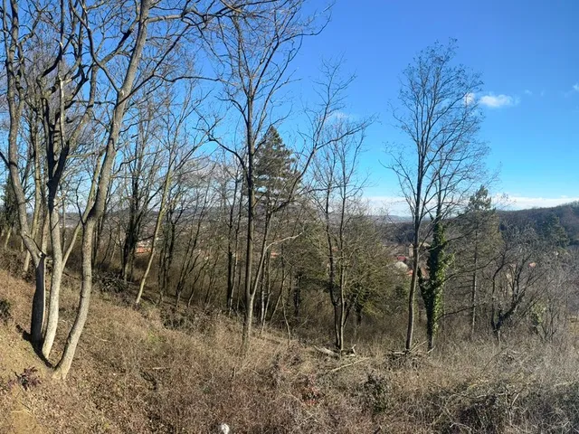 Eladó telek Törökbálint 1027 nm