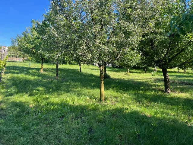 Eladó telek Raposka 1326 nm