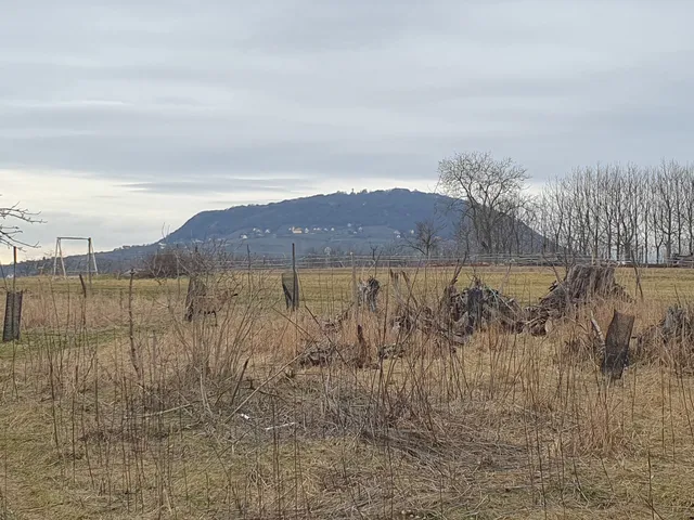 Eladó ház Borszörcsök 70 nm