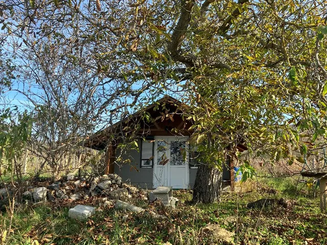 Eladó mezőgazdasági ingatlan Tapolca, Diszel 20 nm