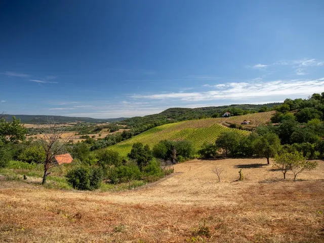 Eladó mezőgazdasági ingatlan Tapolca, Diszel 20 nm