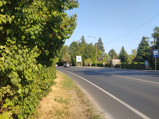 Eladó telek Vonyarcvashegy 1864 nm