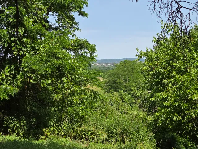 Eladó mezőgazdasági ingatlan Tapolca, zártkert 30 nm