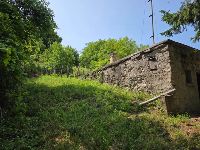 Eladó mezőgazdasági ingatlan Tapolca, zártkert 30 nm