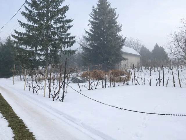 Eladó ház Sümeg 49 nm