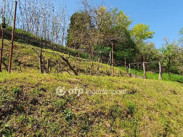 Eladó ház Badacsonytomaj 138 nm