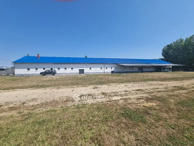 Eladó kereskedelmi és ipari ingatlan Gyarmat 1000 nm