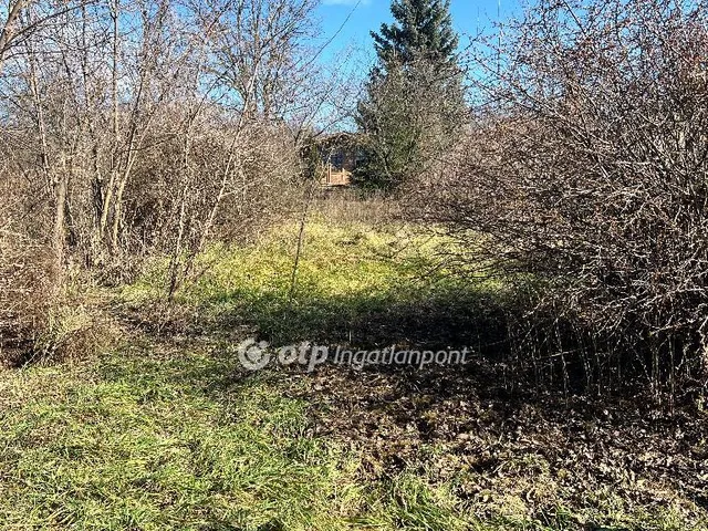 Eladó telek Pápa, Törzsökhegy 420 nm