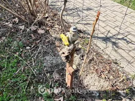 Eladó ház Nemesgörzsöny 87 nm