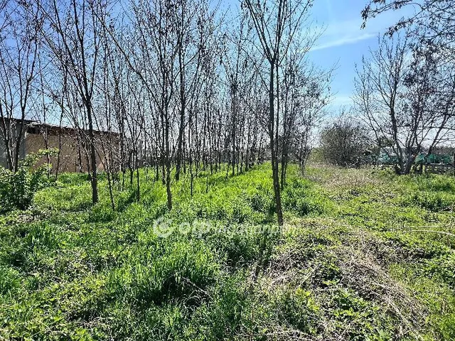 Eladó ház Nemesgörzsöny 87 nm