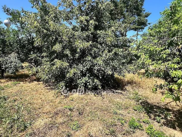 Eladó ház Marcalgergelyi 107 nm