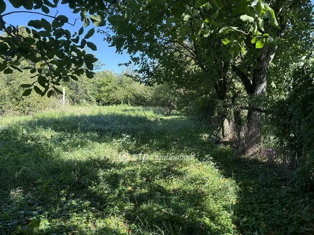 Eladó ház Nagyalásony 90 nm