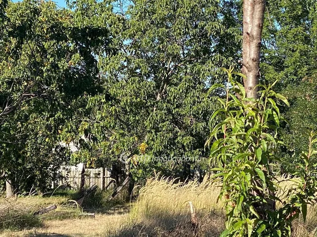 Eladó ház Bakonyszücs 77 nm