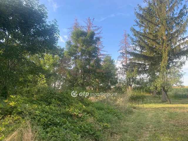 Eladó ház Béb 70 nm