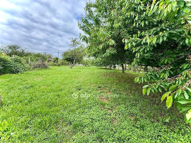 Eladó lakás Pápakovácsi 101 nm