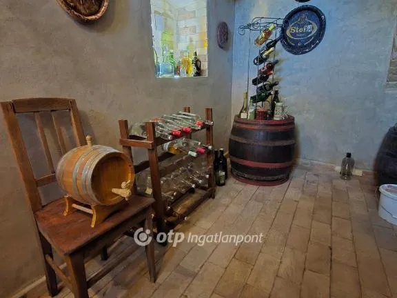 Eladó ház Homokbödöge 167 nm