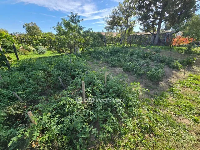 Eladó ház Homokbödöge 167 nm