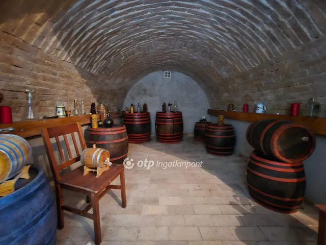 Eladó ház Homokbödöge 167 nm