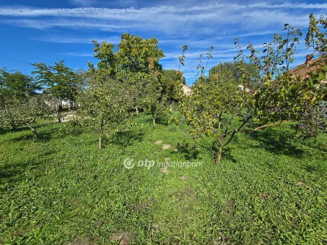 Eladó ház Homokbödöge 167 nm