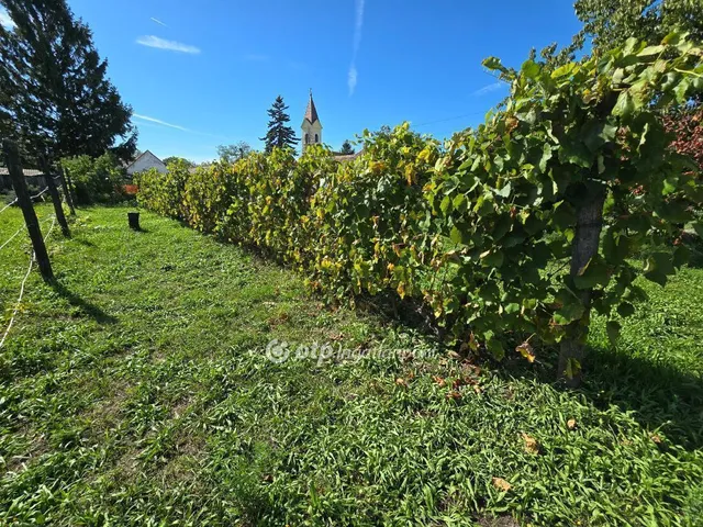 Eladó ház Homokbödöge 167 nm