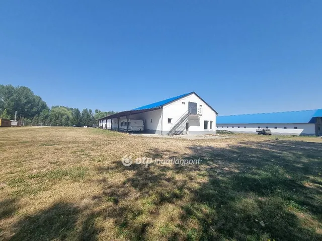 Eladó kereskedelmi és ipari ingatlan Gyarmat 1000 nm