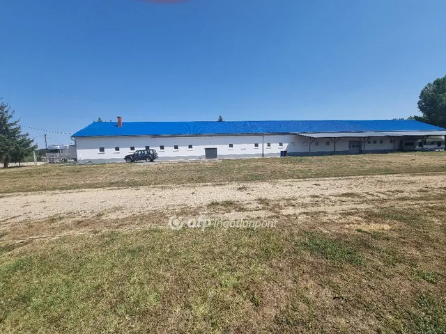 Eladó kereskedelmi és ipari ingatlan Gyarmat 1000 nm