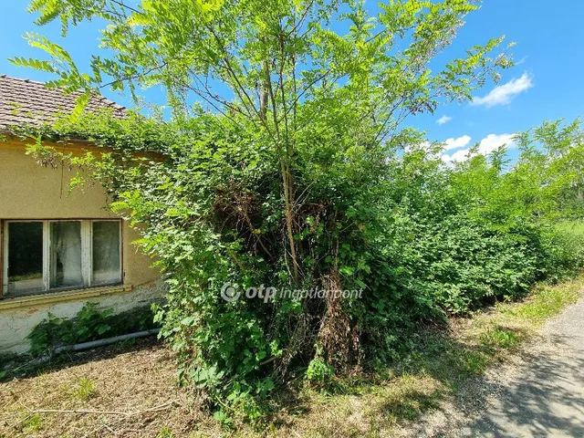 Eladó telek Mihályháza 1271 nm