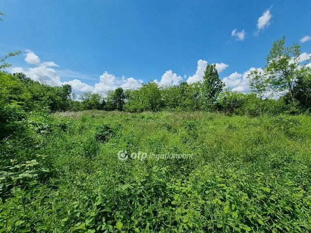 Eladó telek Mihályháza 1271 nm