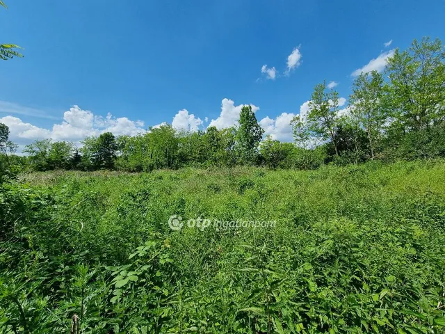 Eladó telek Mihályháza 1271 nm