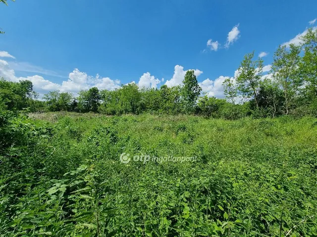 Eladó telek Mihályháza 1271 nm