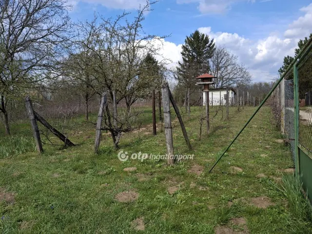 Eladó telek Pápa, Törzsökhegy 20 nm