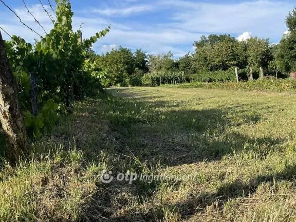 Eladó telek Vaszar 1075 nm