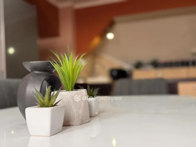 Eladó lakás Pápa 127 nm