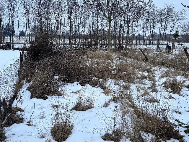 Eladó ház Mezőlak 75 nm