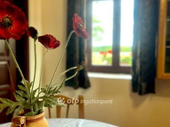 Eladó ház Nemesszalók 262 nm