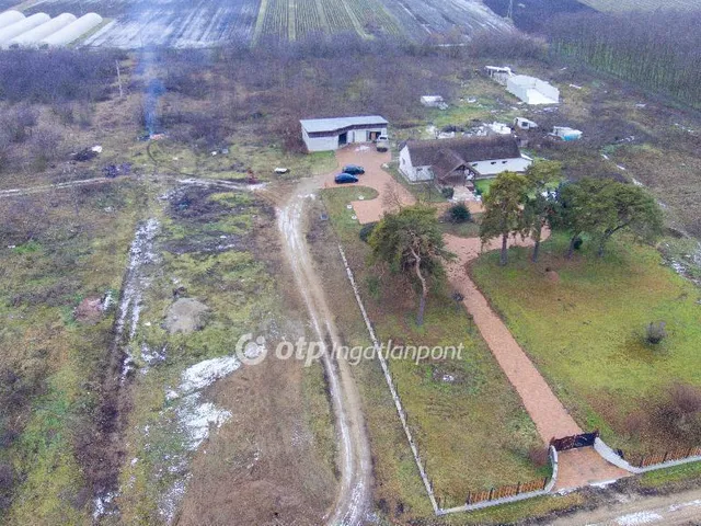 Eladó mezőgazdasági ingatlan Dánszentmiklós 101 nm