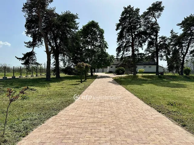 Eladó mezőgazdasági ingatlan Dánszentmiklós 101 nm