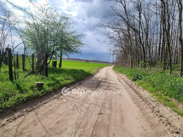 Eladó mezőgazdasági ingatlan Albertirsa 95 nm